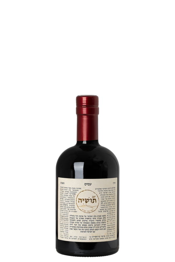 עסיס