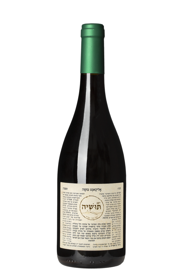 אליקנט בושה